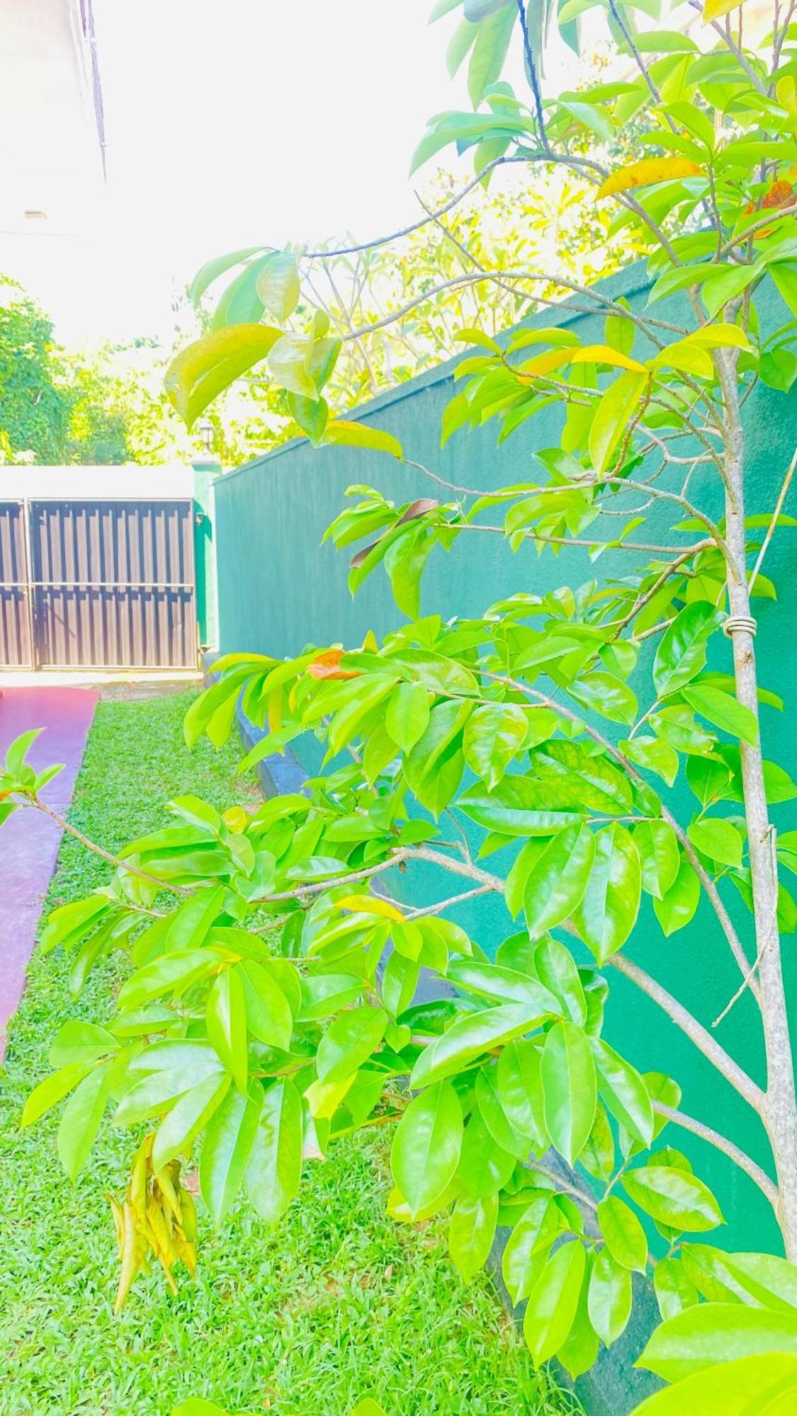 Sanasuma Villa Bentota Ngoại thất bức ảnh